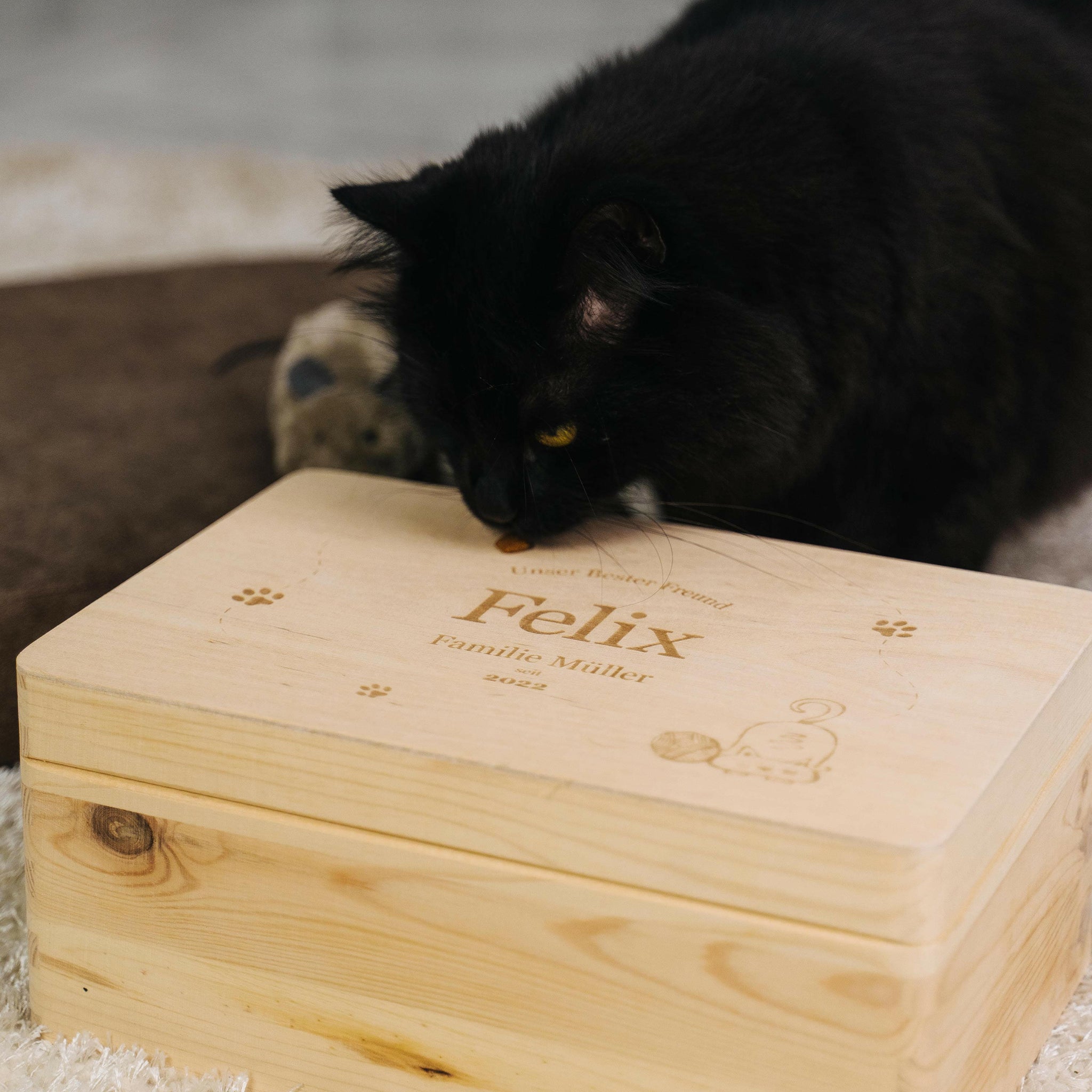 Aufbewahrungskiste für Katzenzubehör (Verspielte Katze Motiv)