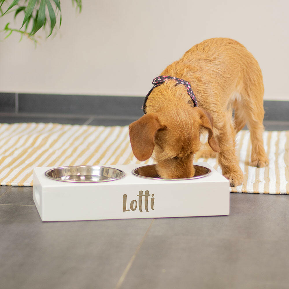 Hundenapf mit Namen - Personalisierter Futternapf | Napf mit Namen personalisiert - Futterstation für Hund, Futternäpfe in Größe M | L - weiß.