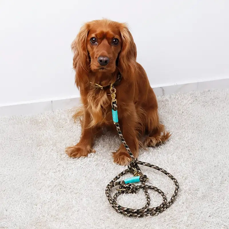 Paracord handgemachtes Hundeleine, grün - XS, S-L - Image 2