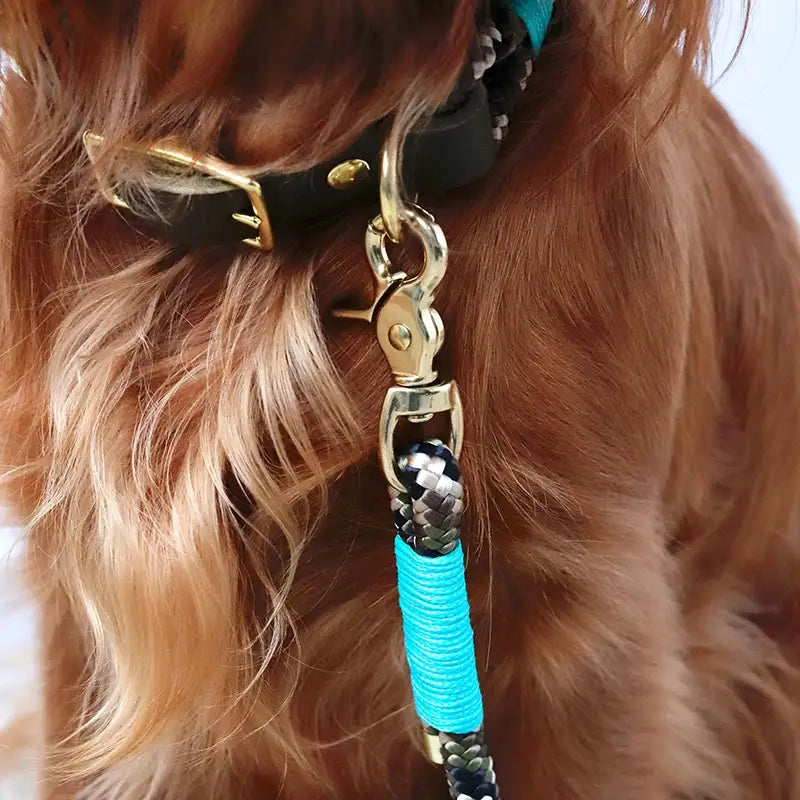 Paracord handgemachtes Hundeleine, grün - XS, S-L - Image 5