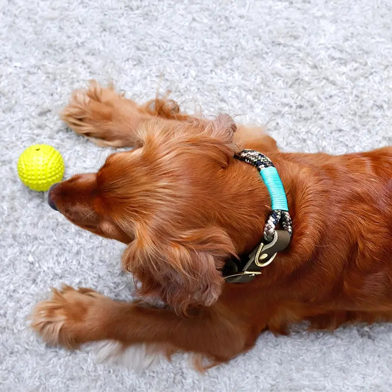 Paracord handgemachtes Hundehalsband, grün - XS, S, M, L - Image 2