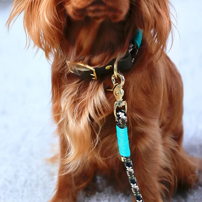 Paracord handgemachtes Hundehalsband, grün - XS, S, M, L - Image 4