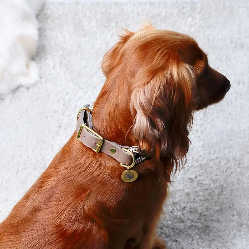 Paracord handgemachtes Hundehalsband, braun - XS, S, M, L - Image 2