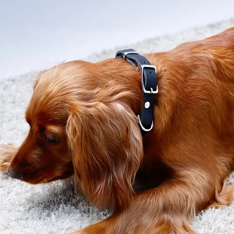 Paracord handgemachtes Hundehalsband, schwarz - XS, S, M, L - Image 2