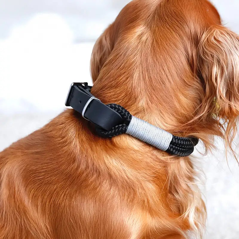 Paracord handgemachtes Hundehalsband, schwarz - XS, S, M, L - Image 5