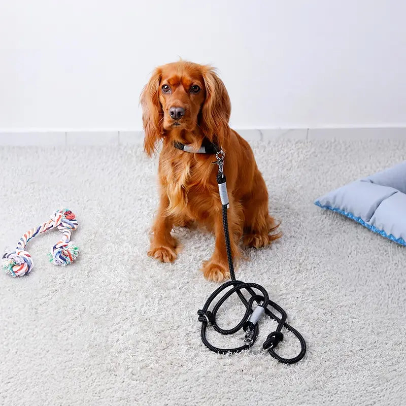 Paracord handgemachtes Hundehalsband, schwarz - XS, S, M, L - Image 7