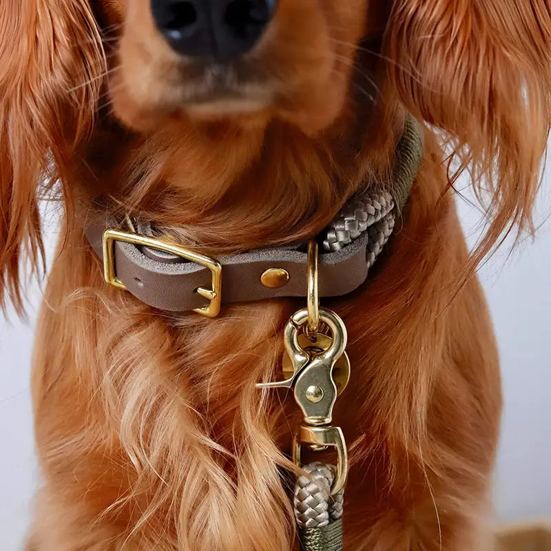 Paracord handgemachtes Hundeleine, braun - XS, S-L - Image 5