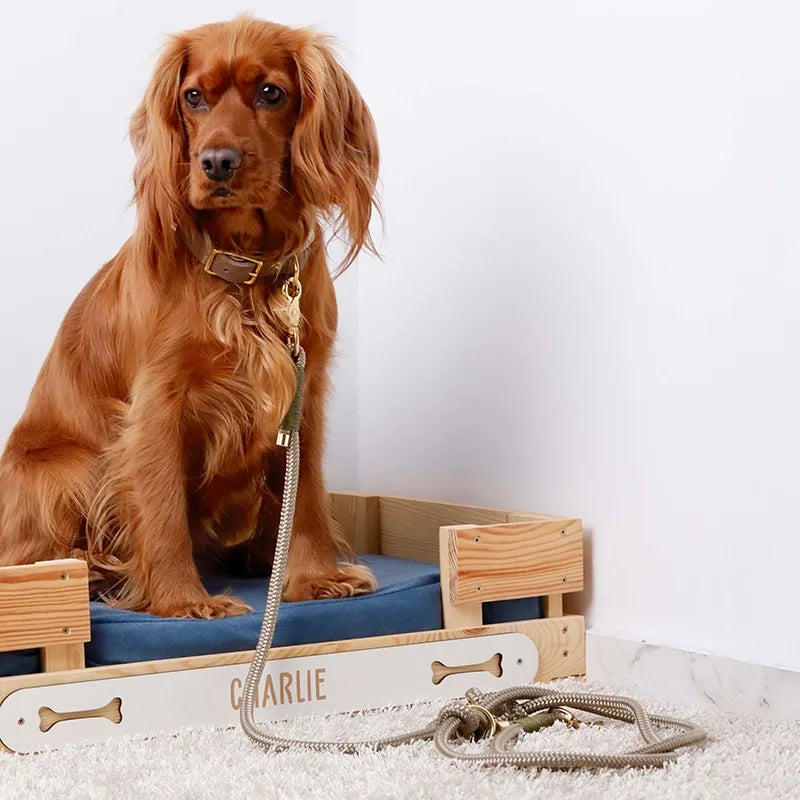 Paracord handgemachtes Hundeleine, braun - XS, S-L - Image 7