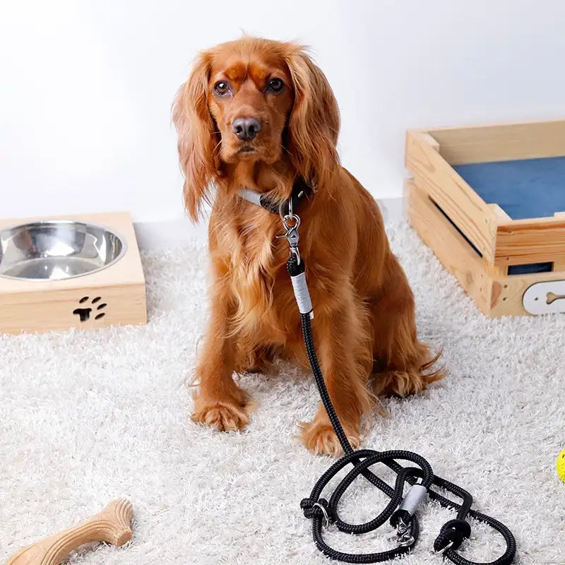 Paracord handgemachtes Hundeleine, schwarz - XS, S-L - Image 2