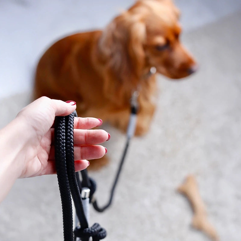 Paracord handgemachtes Hundeleine, schwarz - XS, S-L - Image 7