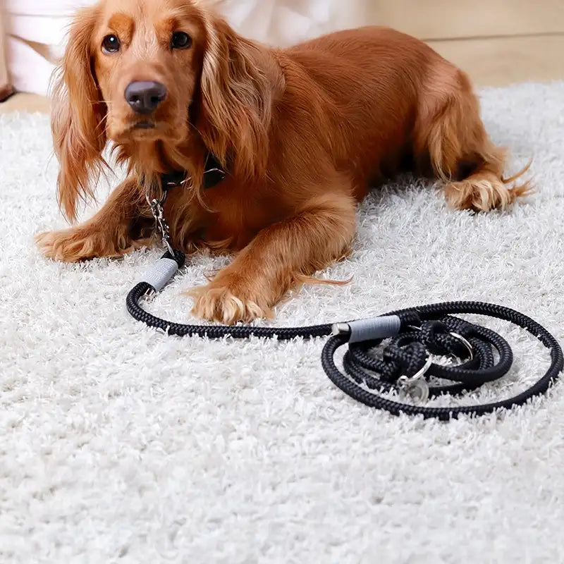 Paracord handgemachtes Hundeleine, schwarz - XS, S-L - Image 5